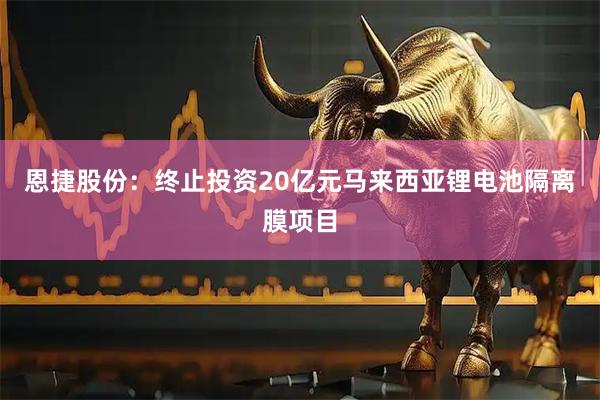恩捷股份：终止投资20亿元马来西亚锂电池隔离膜项目