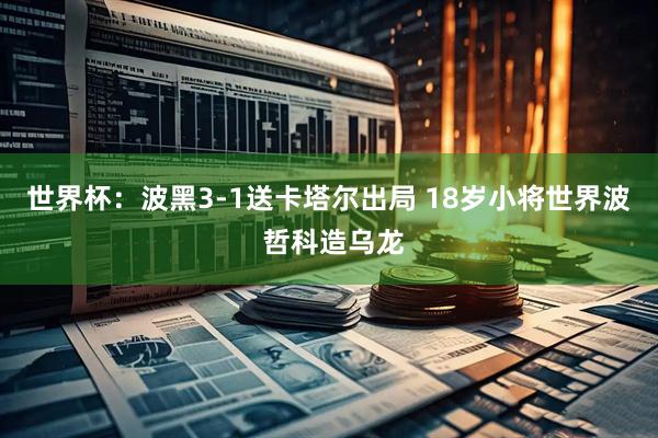 世界杯：波黑3-1送卡塔尔出局 18岁小将世界波 哲科造乌龙